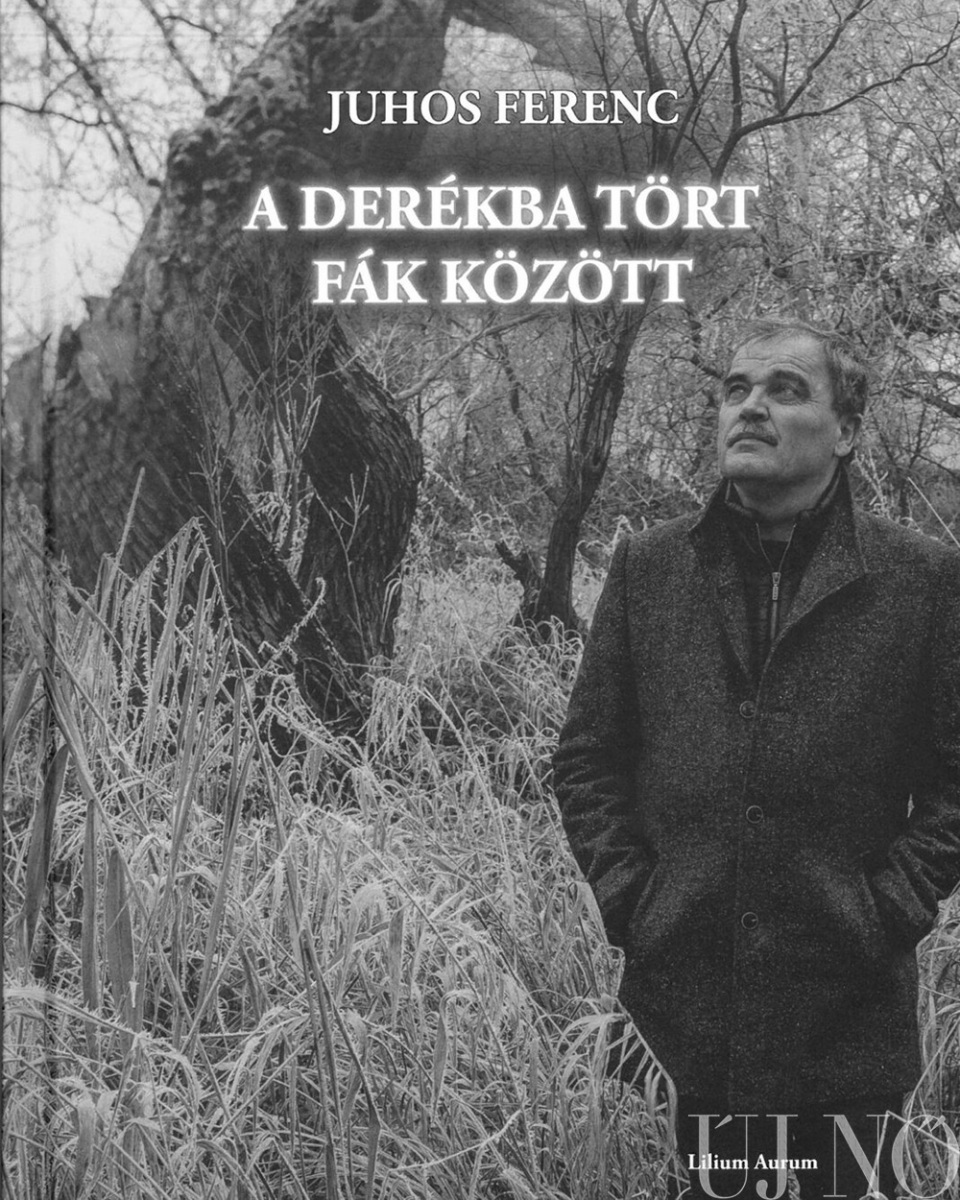 Juhos Ferenc A derékba tört fák között című könyve 