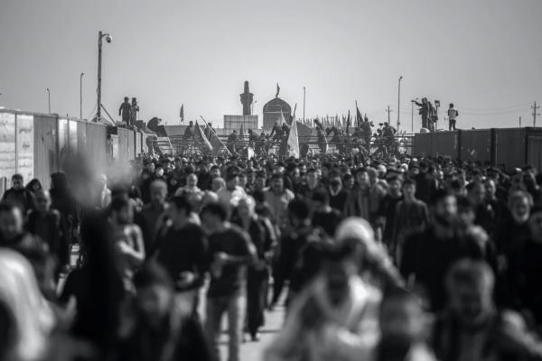 Társadalom és társ a dalom