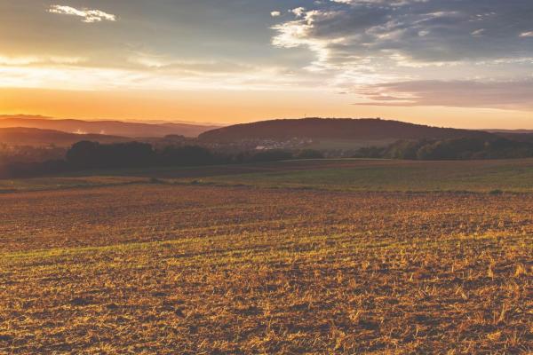 A kisebbségi ugaron