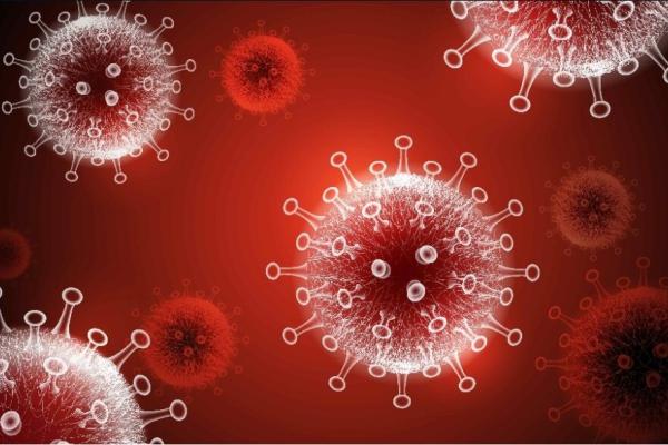 Koronavírus na Slovensku v číslach