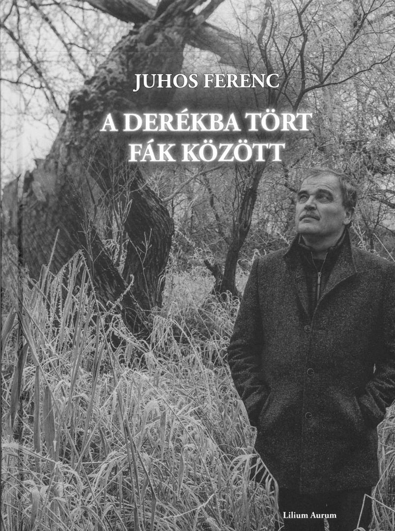 Juhos Ferenc: A derékba tört fák között