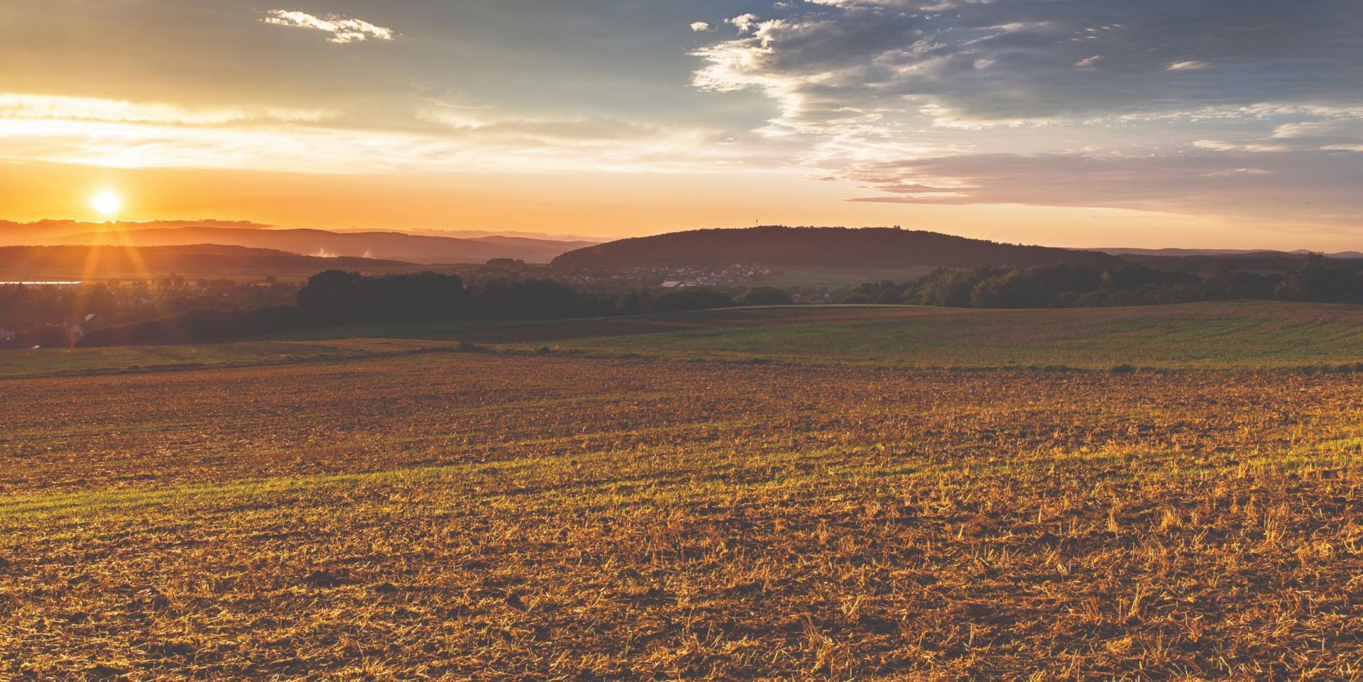 A kisebbségi ugaron