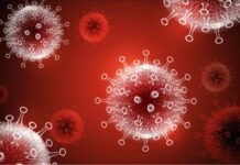 Koronavírus na Slovensku v číslach