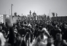 Társadalom és társ a dalom