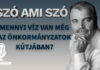 Szó ami szó- Mennyi víz van még az önkormányzatok kútjában?- 188.adás
